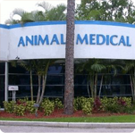 AMC animal medical center