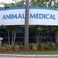 Animal Medical Center